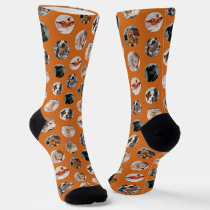 Chaussette Collage personnalisé de 8 photos de animaux mignon