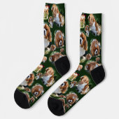 Chaussette Collage photo Cavalier Spaniel, Chaussettes d'équi (Gauche)