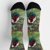 Chaussette Collage photo de canard amarré, Chaussettes d'équi (Haut)