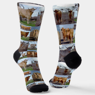Chaussette Collage photo de la vache Highland, Chaussettes d'