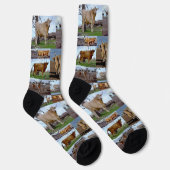 Chaussette Collage photo de la vache Highland, Chaussettes d' (Droite)