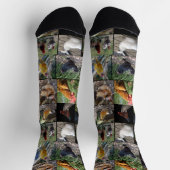 Chaussette Collage photo de poulet, Chaussettes d'équipage (Haut)
