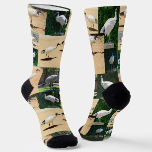 Chaussette Collage photo de poulets de poule, Chaussettes d'é