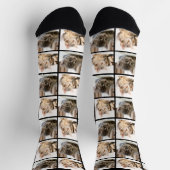 Chaussette Collage photo personnalisé de chat pour animaux de (Haut)