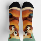 Chaussette Conception de l'ours (Haut)