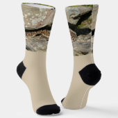 Chaussette Crotale dans le parc national de Shenandoah (Angulaire)