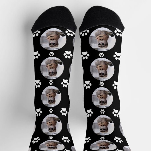 Chaussette Customisé Funny Chat Pet Paw Face Noir (Haut)