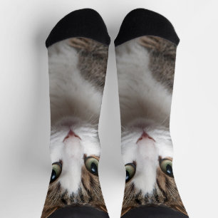 Chaussette Cute Tabby Chat Personnalisé Personnalisé Photo An