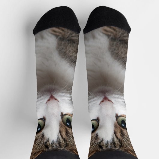Chaussette Cute Tabby Chat Personnalisé Personnalisé Photo An (Haut)