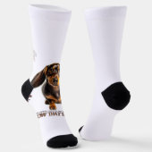 Chaussette dachshund noir blaireau hound chien arrière - plan (Angulaire)