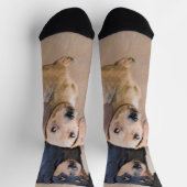 Chaussette Dachshund (Smooth) Peinture - Art Chien original (Haut)