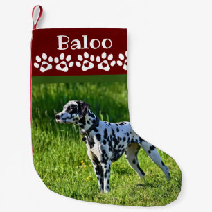 Chaussette de Noël pour chien Photo