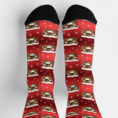 Chaussette Déplaisant Noël Fruitcake Motif Rouge (Haut)