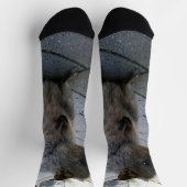 Chaussette "Des coups de bâton en Australie : une Quokka gris (Haut)