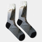 Chaussette "Des coups de bâton en Australie : une Quokka gris (Droite)