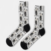 Chaussette Dessin de Keeshond Chiot Kees Mignon Dessin Origin (Gauche)