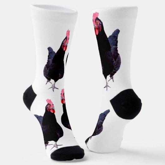 Chaussette Deux Poulets Noirs, Chaussettes D'Équipage (Angulaire)