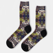 Chaussette Dimensions de curiosité (Gauche)
