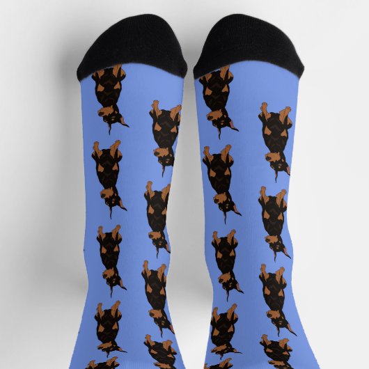 Chaussette Doberman Pinscher (Haut)