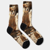 Chaussette "Double la laideur : Aussie Quokka Twins" (Droite)