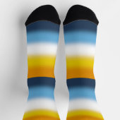 Chaussette Drapeau de fierté Gradient AroAce (Haut)