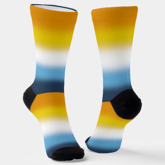 Chaussette Drapeau de fierté Gradient AroAce (Angulaire)
