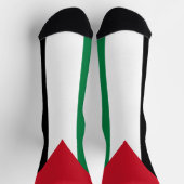 Chaussette Drapeau de la Palestine (Haut)