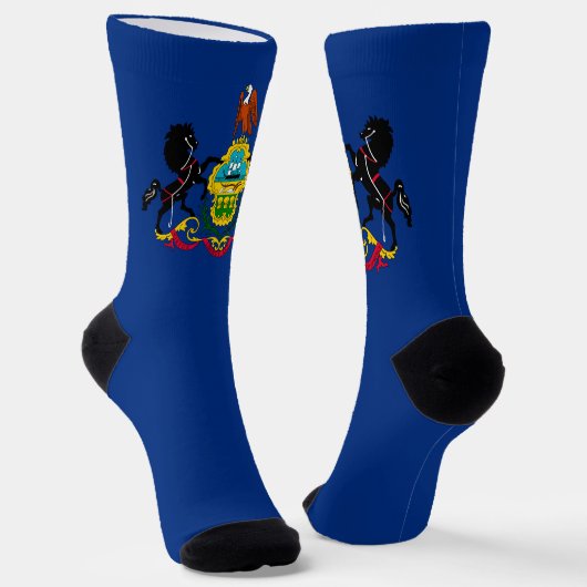 Chaussette Drapeau de l'État de Pennsylvanie (Angulaire)