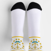 Chaussette Drapeau de l'État de Rhode Island (Haut)