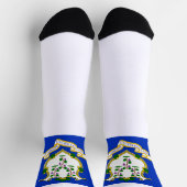 Chaussette Drapeau de l'État du Connecticut (Haut)