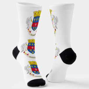 Chaussette Drapeau de Saint-Barthélemy