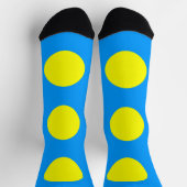 Chaussette Drapeau des Palaos (Haut)