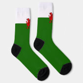 Chaussette Drapeau gallois (Droite)