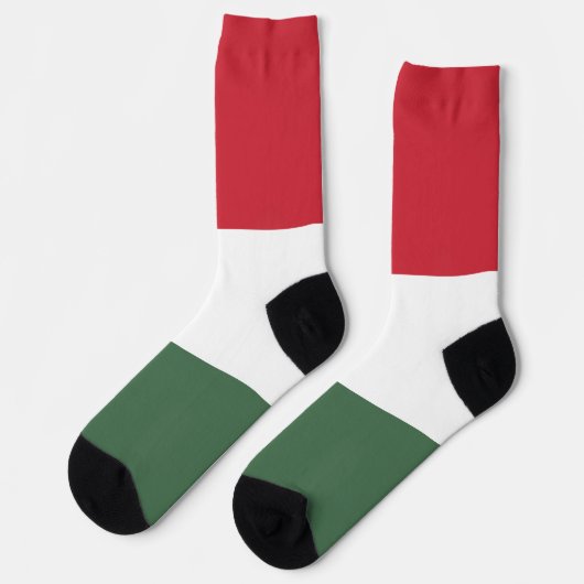 Chaussette Drapeau Hongrie (Gauche)