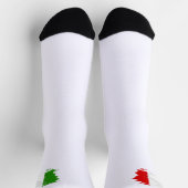 Chaussette Drapeau italien (Haut)