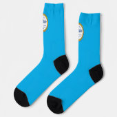 Chaussette Drapeau urbain de Boston (Massachusetts) (Gauche)