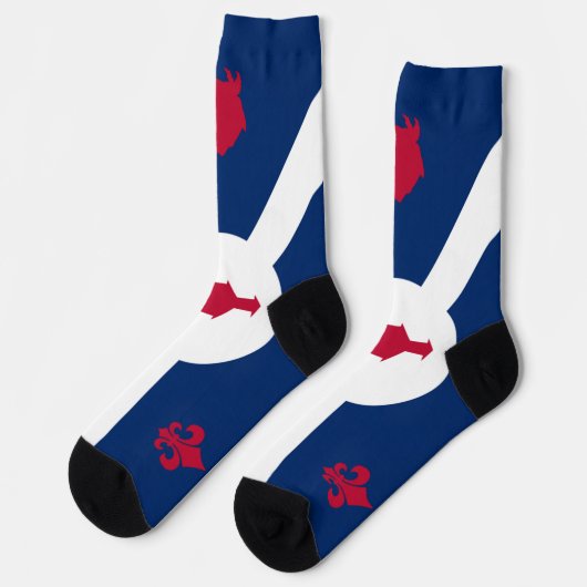 Chaussette Drapeau urbain de Fort Wayne (Indiana) (Gauche)