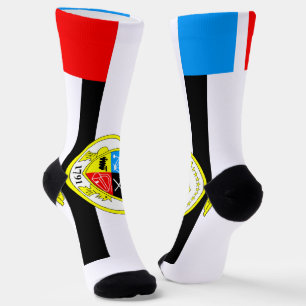 Chaussette Drapeau urbain de Knoxville (Tennessee)