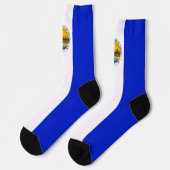 Chaussette Drapeau urbain de Tolède (Ohio) (Gauche)
