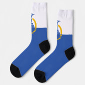 Chaussette Drapeau urbain d'Orlando (Floride) (Gauche)