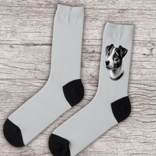 Chaussette Drawing of Jack Russell Terrier