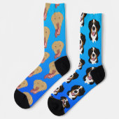 Chaussette Dudley Labrador et Bernese Mountain Dog (Gauche)