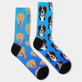 Chaussette Dudley Labrador et Bernese Mountain Dog (Droite)