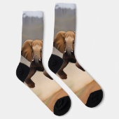 Chaussette Elephant Kangaroo Hop, (Droite)