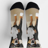 Chaussette Entlebucher Mountain Dog Painting Original Chien A (Haut)