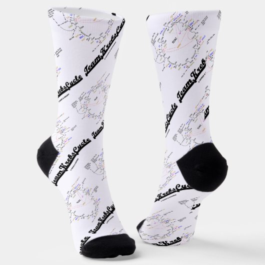 Chaussette Équipe Krebs Cycle Citric Acid Cycle TCAC (Angulaire)