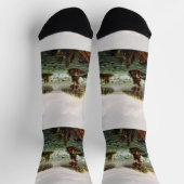 Chaussette Falls of Saint Anthony by Henry Lewis (Haut)