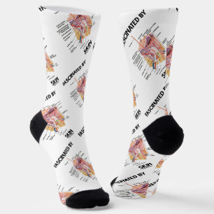 Chaussette Fasciné Par La Peau (Couches De Peau Anatomiques)
