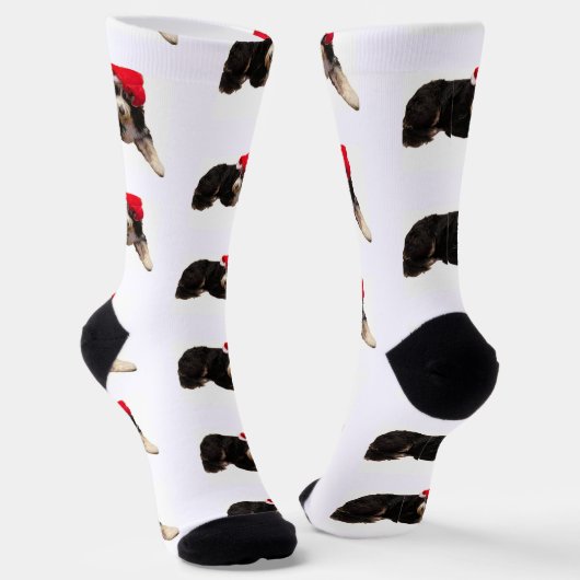 Chaussette Festive & cute bernedoodle wearing a Santa hat (Angulaire)