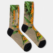 Chaussette Fleur d'oranger de coq de qualité supérieure perso (Droite)